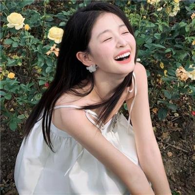 蓝徽特攻队